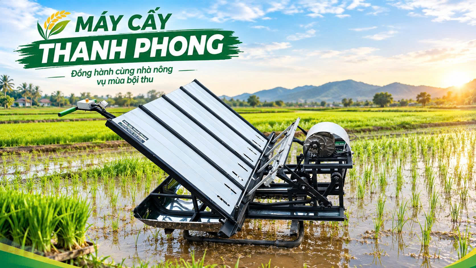 Máy cấy động cơ điện 4 hàng 20cm