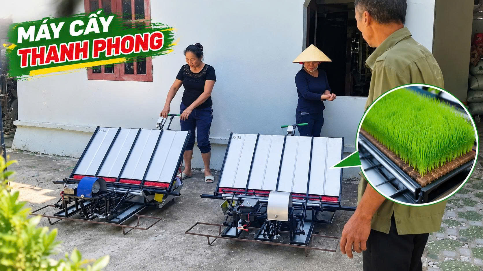 Máy cấy động cơ điện 4 hàng 23cm