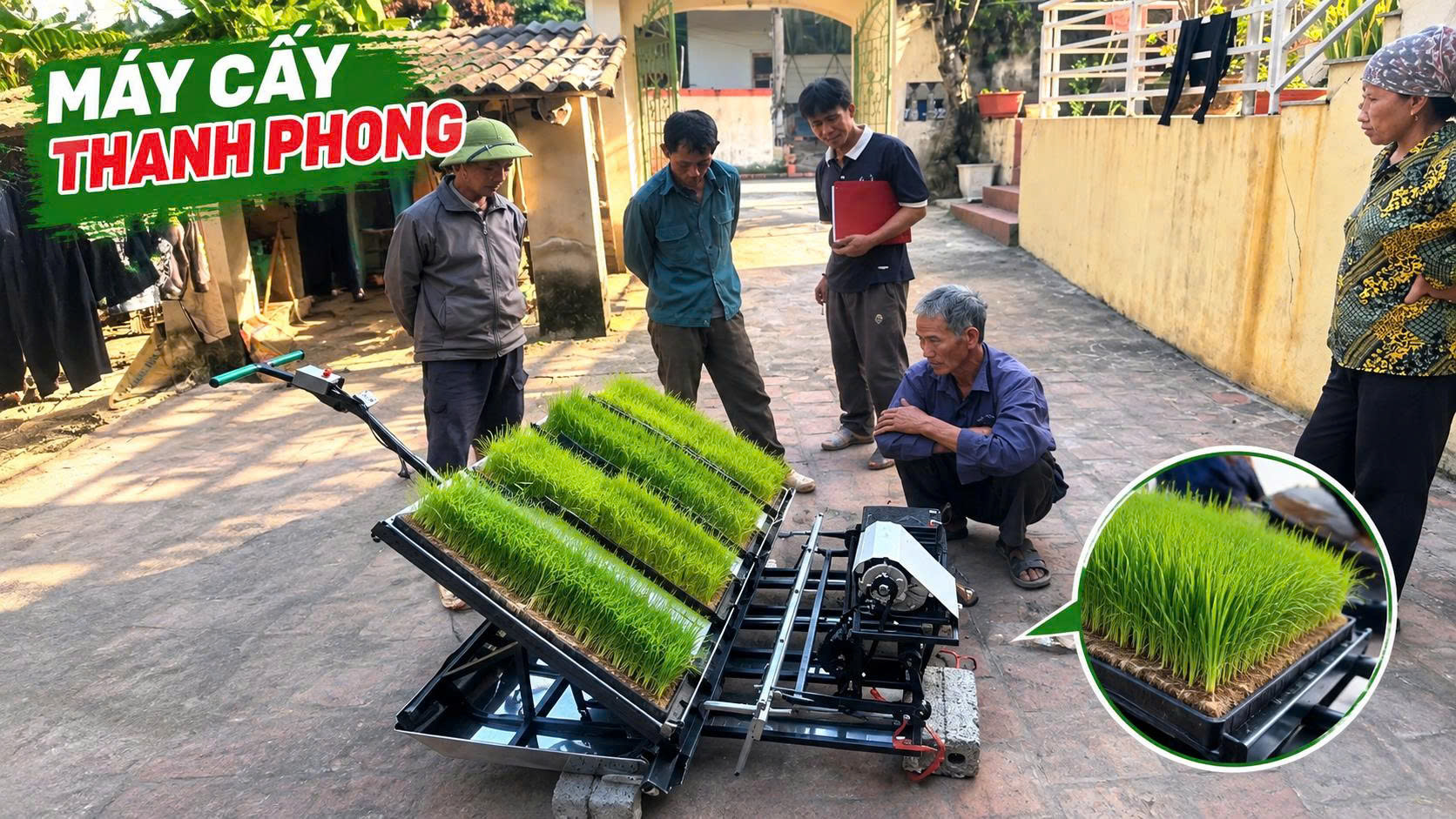Máy cấy động cơ điện 5 hàng 20cm