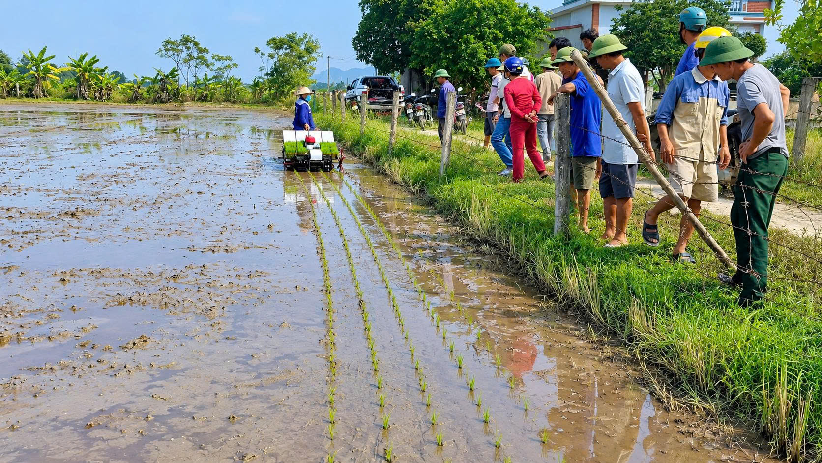Đào tạo vận hành
